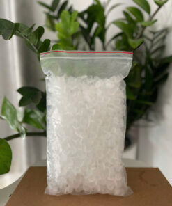 Chum mực xăm – Hũ đựng mực xăm